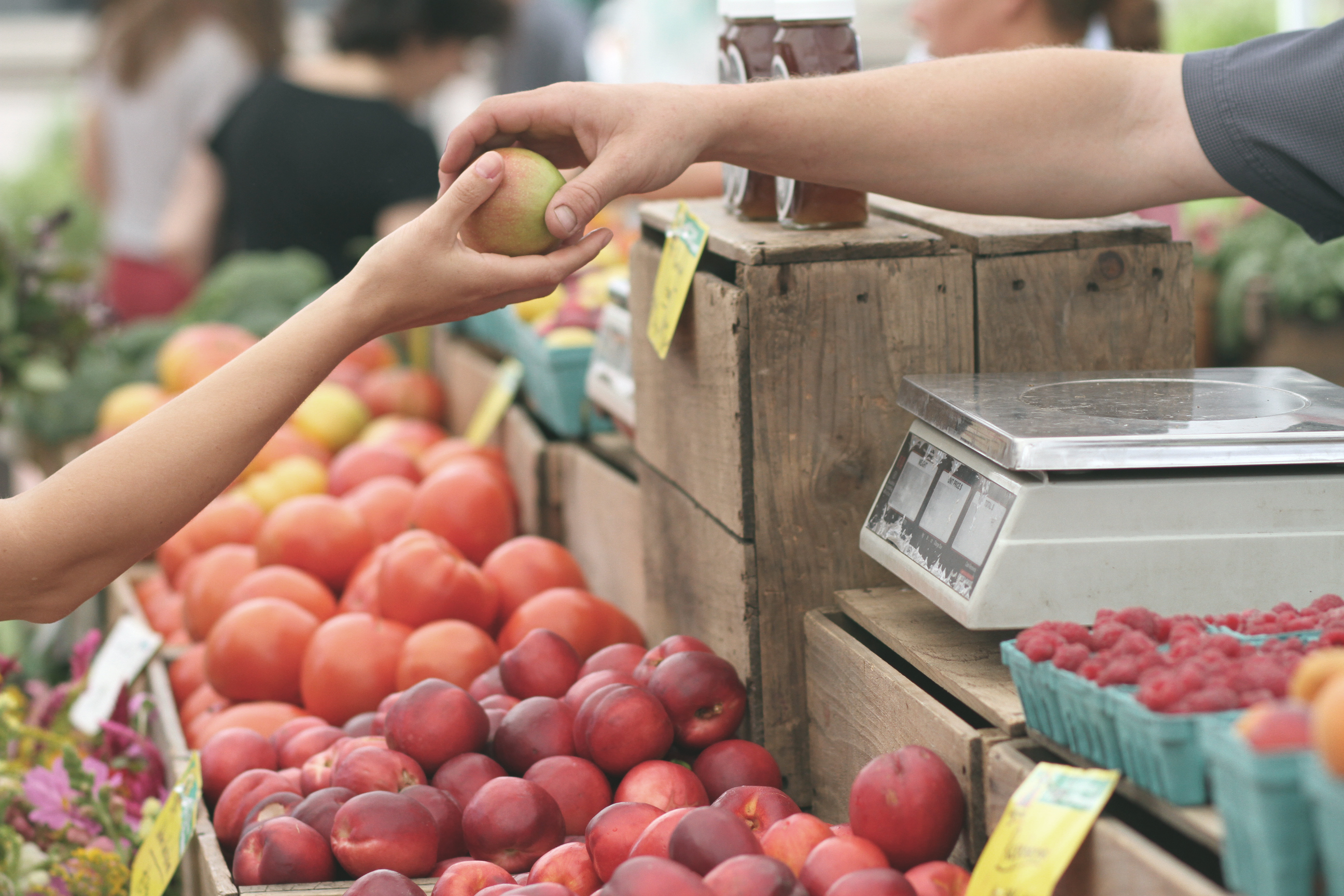 Travel Packing Checklists Cooking Groceries on Vacation